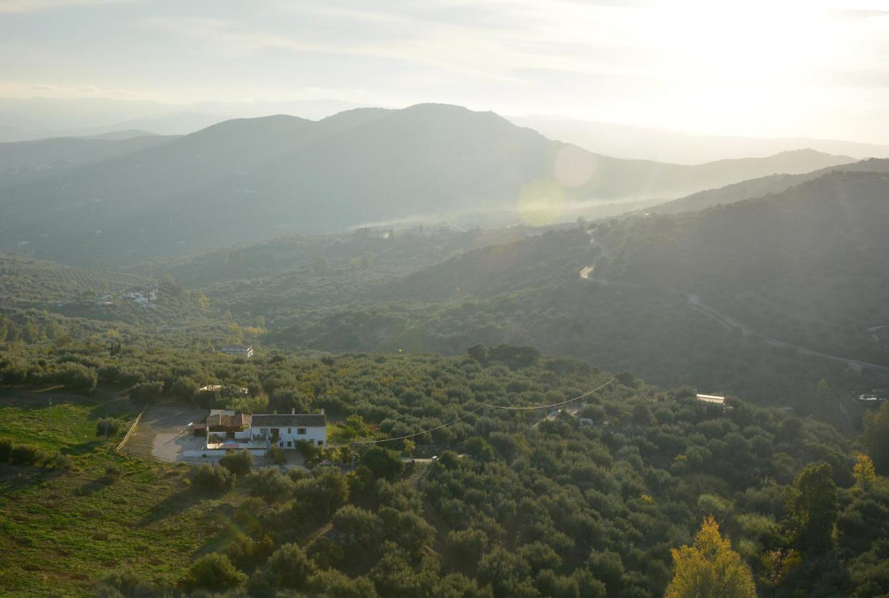 Casa La Negra Villa Periana Dış mekan fotoğraf